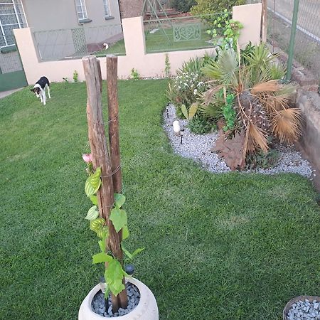 Bed and Breakfast Breaking Dawn Noupoort Esterno foto